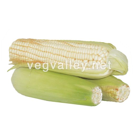 Frozen White Corn